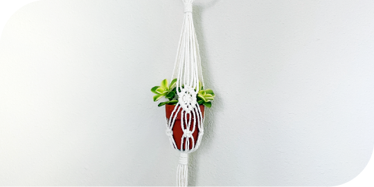 Mini car mirror plant hanger with succulent